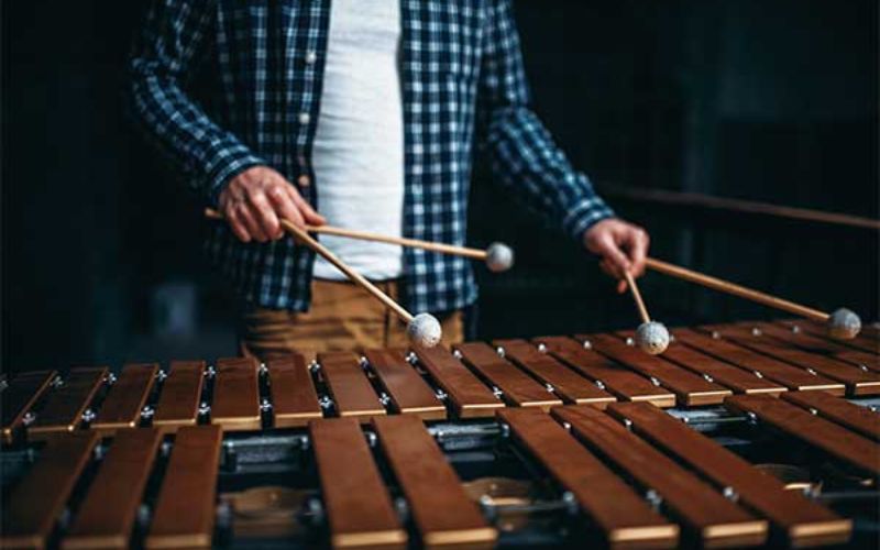 bộ gõ đặc biệt Xylophone