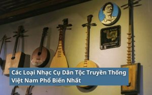 các loại nhạc cụ dân tộc việt nam